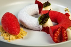 Dolce19