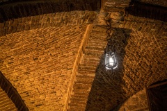 Todi2