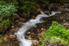 Torrente Tresenica (TN)