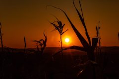 Tramonto Estivo sulla Valle Tuderte (PG)