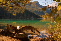 Lago di Tovel (TN) in Autunno