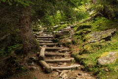 Discesa Hobbit dal Ponte sul Ragaiolo (TN)