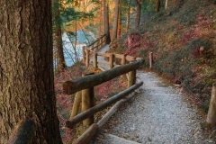 Percorso Panoramico del Lago di Tovel (TN) in Autunno